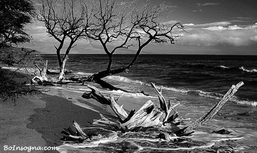 Black and white Seascape fine art photography print