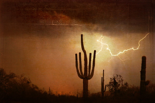 Southwest Desert Landscape Lightning Photography Image