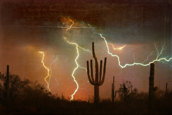 Saguaro Lightning Storm photography print