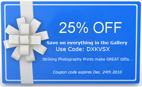 save 25% off all gallery Prints