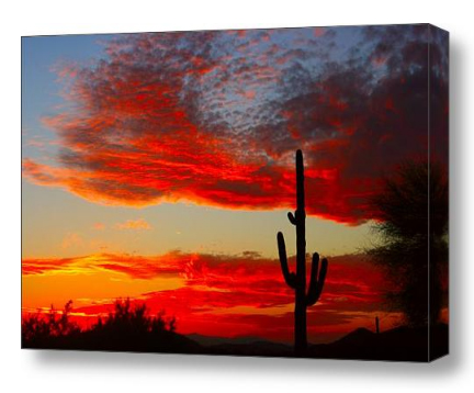 Colorful Arizona Sunset Stretched Canvas Print - Canvas Art