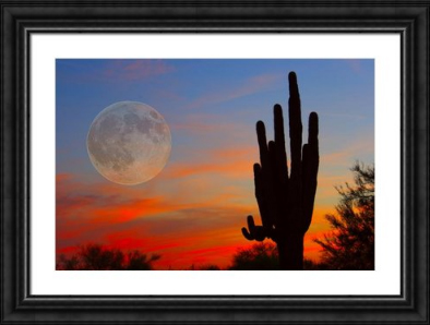 Saguaro Full Moon Sunset Framed Print Decorating Ideas for Bedrooms Fine Photography Prints and Canvas Art