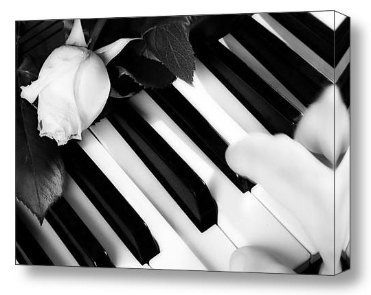 My Piano Black and White Fine Art Print and Canvas Art.