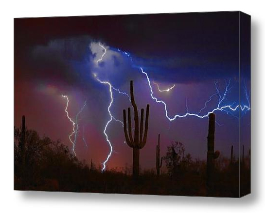 Southwest fine art photography print and canvas art saguaro and lightning bolts