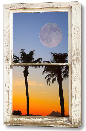 Full Moon Palm Tree Picture Window Sunset Decorating Tips Add a Nature Window View to Any Room With Fine Art Picture Windows
