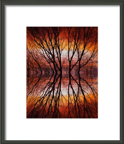 Sunset Tree Silhouette Abstract 2 Framed Fine Art Print