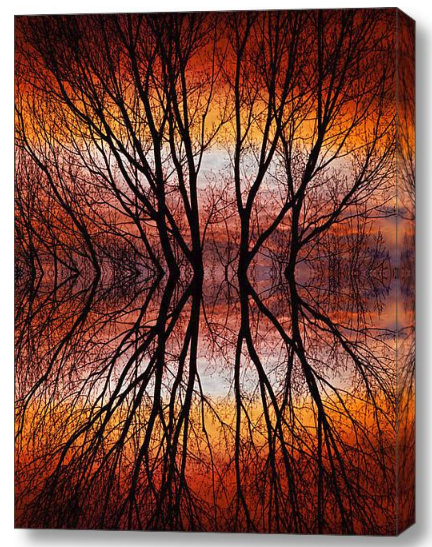 Sunset Tree Silhouette Abstract 2 Stretched Canvas Print