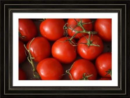 Vine Riped Tomatoes Fine Art Framed Print