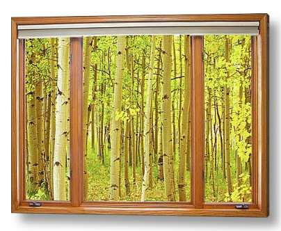 Into The Aspens Window View Dimensions of Interior Decorations Redefined with Fine Art Windows