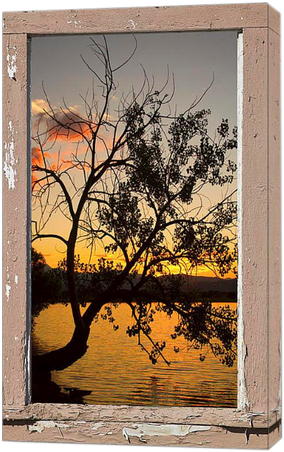Tree Silhouette Lake Sunset Window View Dimensions of Interior Decorations Redefined with Fine Art Windows