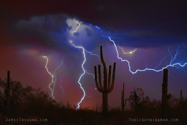 saguaro cactus lightning thunderstorm 600s Professional Art Work Photography