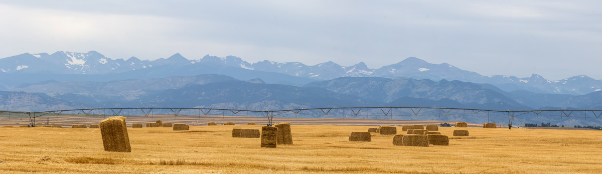 Rocky Mountain Front Range Agriculture Panorama