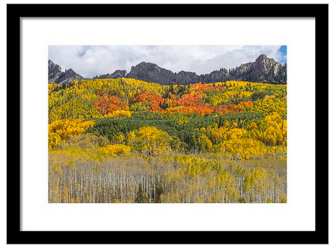 Colorado Kebler Pass Fall Foliage Framed Print