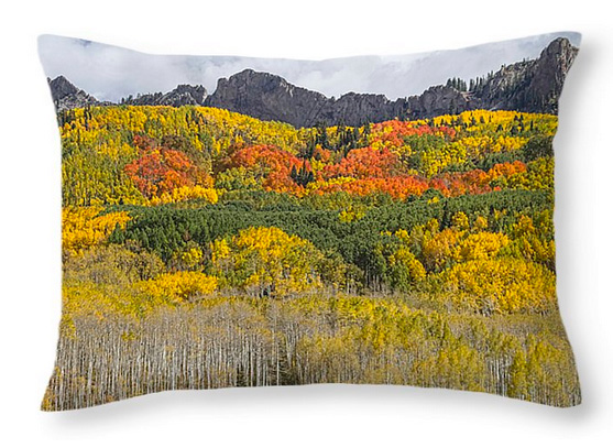 Colorado Kebler Pass Fall Foliage Throw Pillow 20x14