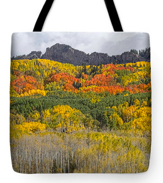 Colorado Kebler Pass Fall Foliage Tote Bag 18x18