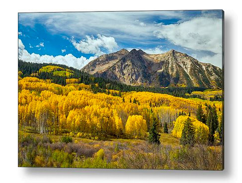 Colorado Rocky Mountain Fall Foliage Acrylic Art Print