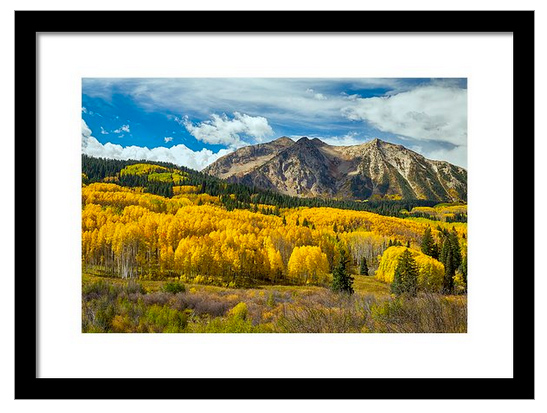 Colorado Rocky Mountain Fall Foliage Framed Print