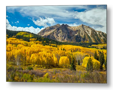 Colorado Rocky Mountain Fall Foliage Metal Print