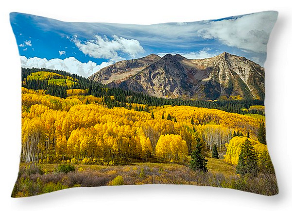 Colorado Rocky Mountain Fall Foliage Throw Pillow 20x14