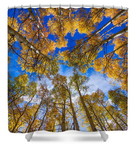 Colorful Aspen Forest Canopy Shower Curtain