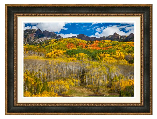 Colorful Colorado Kebler Pass Fall Foliage Framed Print