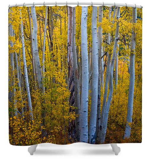 Golden Forest Portrait Shower Curtain