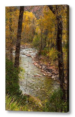 Trout Fishing Stream Crossing Swing Canvas Print