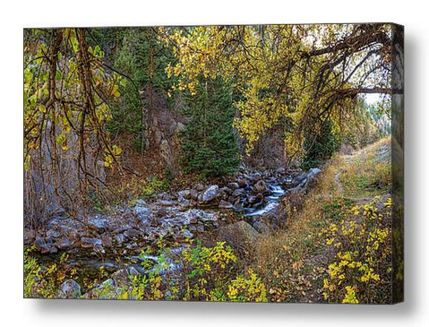 Boulder Creek Autumn View Canvas Art Print