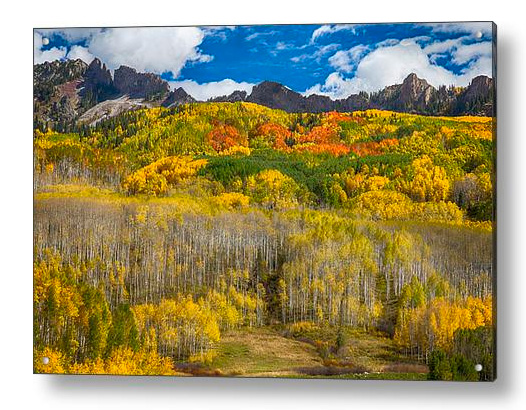 Colorful Colorado Kebler Pass Fall Foliage Acrylic Print