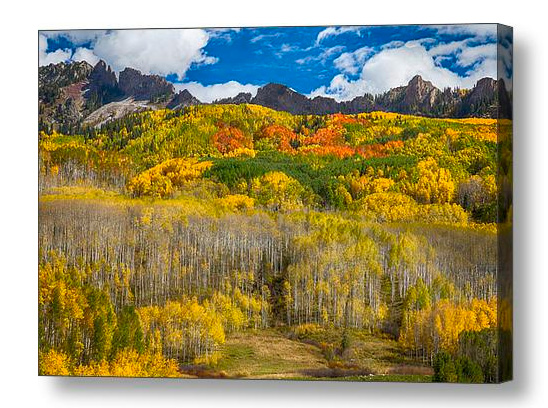 Colorful Colorado Kebler Pass Fall Foliage Canvas Print