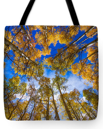 Colorful Aspen Forest Canopy Tote Bag 18 x 18