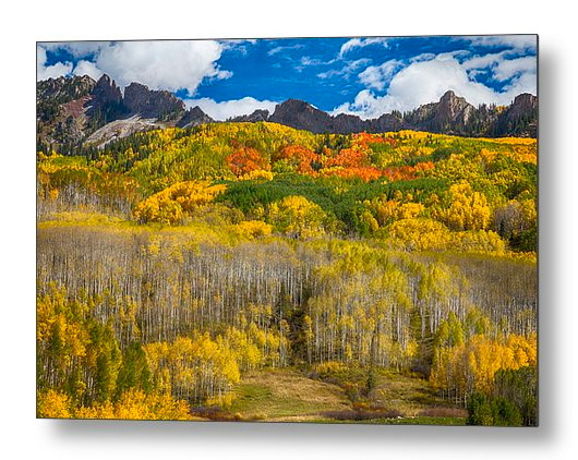 Colorful Colorado Kebler Pass Fall Foliage Metal Print