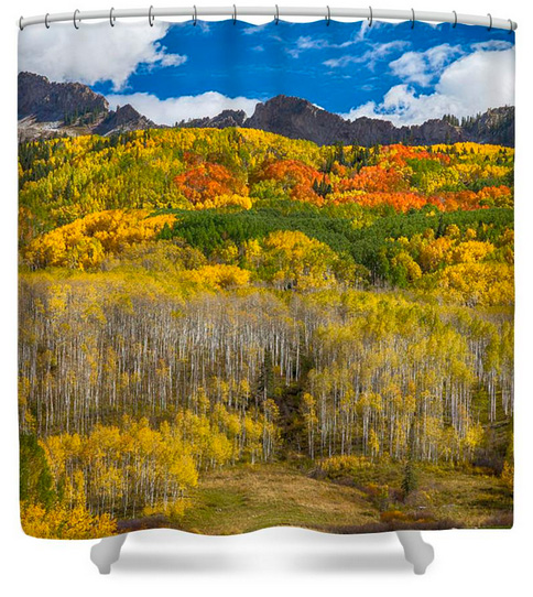 Colorful Colorado Kebler Pass Fall Foliage Shower Curtain