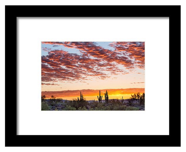 Colorful Sonoran Desert Sunrise Framed Print