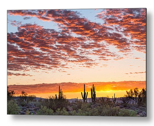 Colorful Sonoran Desert Sunrise Metal Print