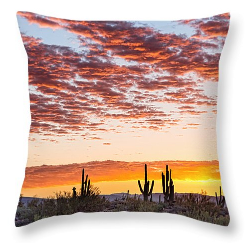 Colorful Sonoran Desert Sunrise Throw Pillow 18" x 18"