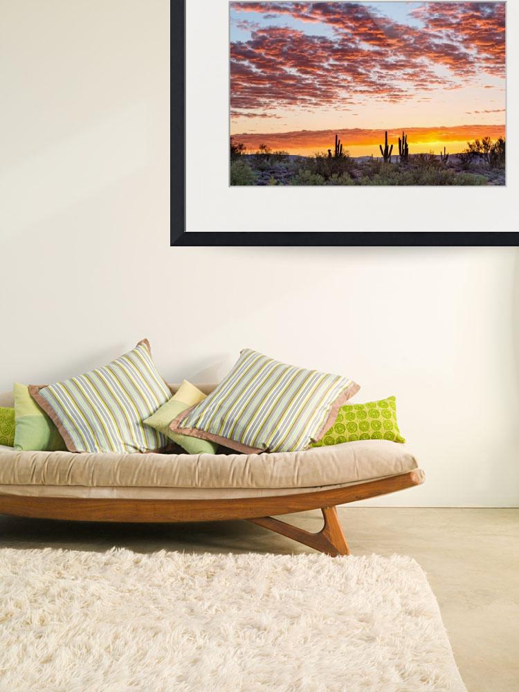 Colorful-Sonoran-Desert-Sunrise_art prints