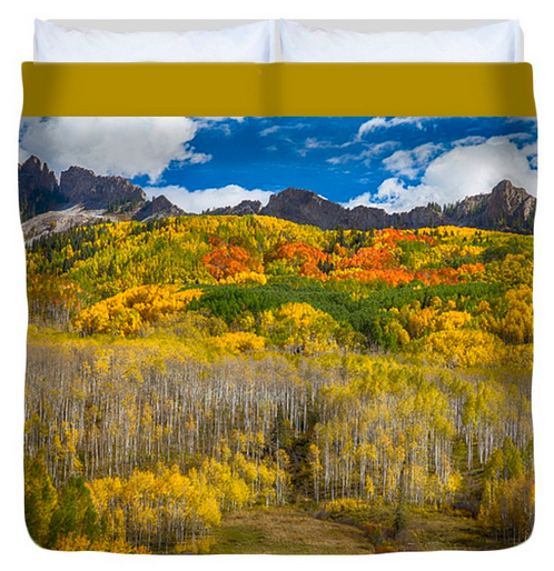 Colorful Colorado Kebler Pass Fall Foliage Queen Duvet Cover