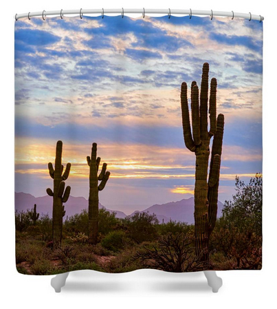 Just Another Colorful Sonoran Desert Sunrise Shower Curtain