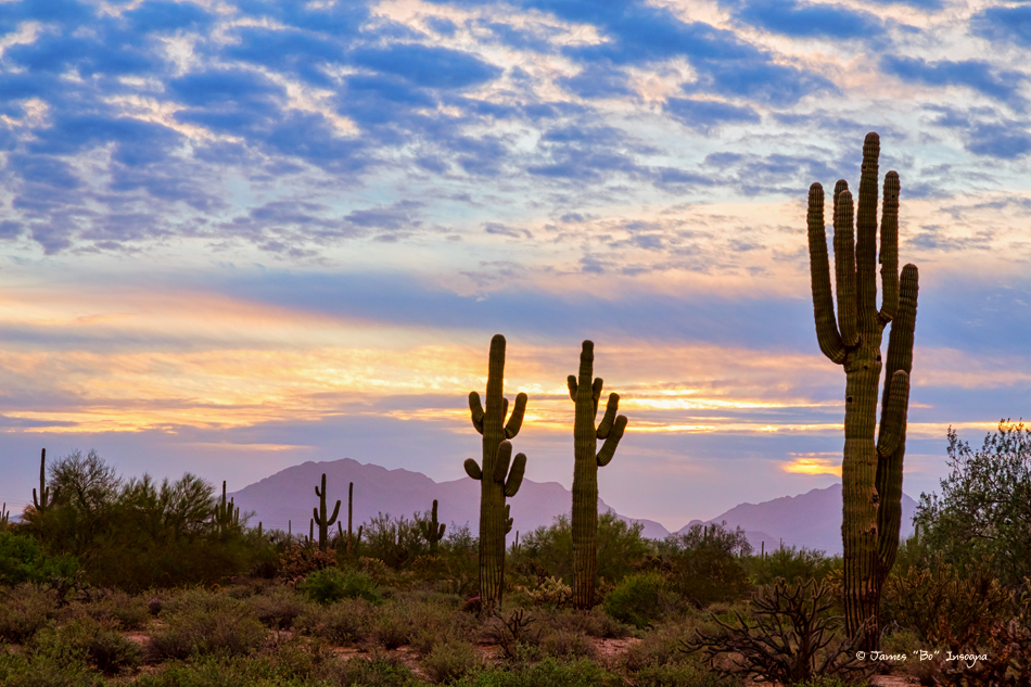 Just Another Colorful Sonoran Desert Sunrise