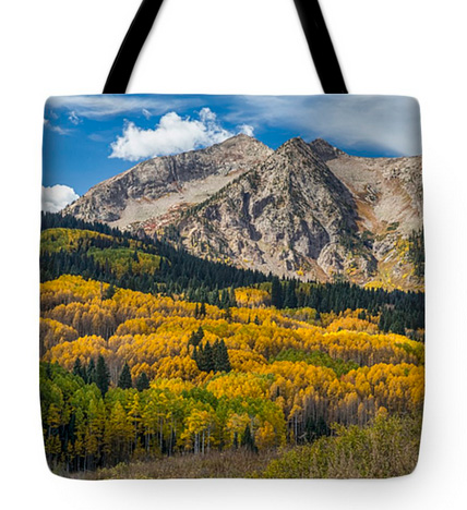 Rocky Mountain Autumn Season Colors Tote Bag