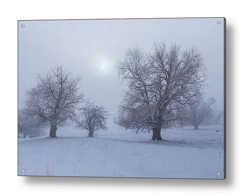 Snowy Foggy Sun Burning Acrylic Print