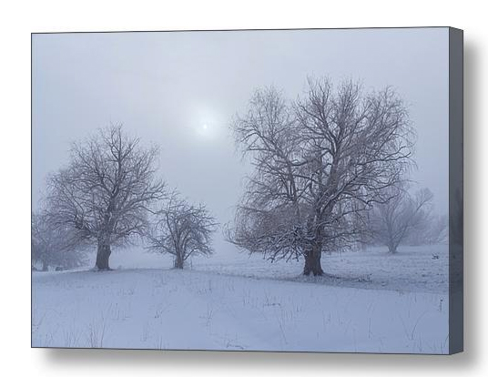 Snowy Foggy Sun Burning Canvas Print