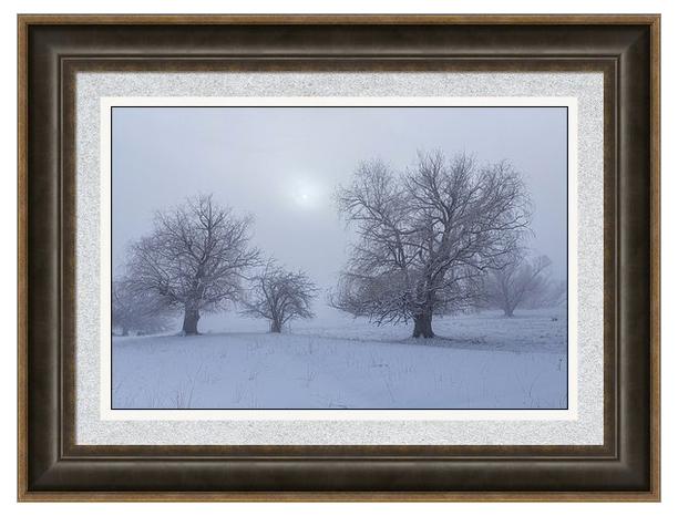 Snowy Foggy Sun Burning Framed Print