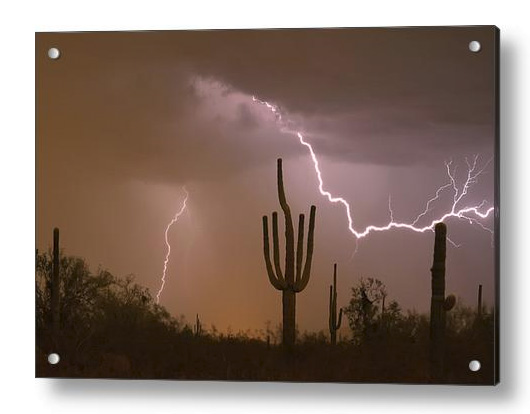 Sonoran Saguaro Southwest Desert Lightning Strike Acrylic Print