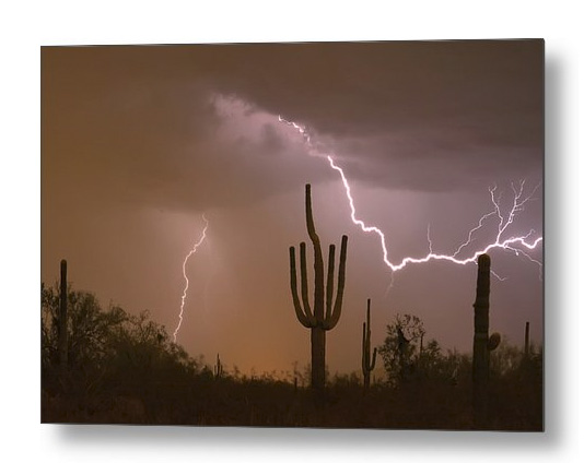 Sonoran Saguaro Southwest Desert Lightning Strike Metal Print