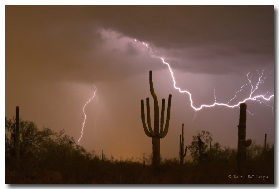Sonoran Saguaro Southwest Desert Lightning Strike
