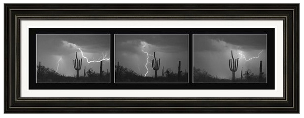 Southwest Saguaro Cactus Desert Storm Panorama Bw Framed Print