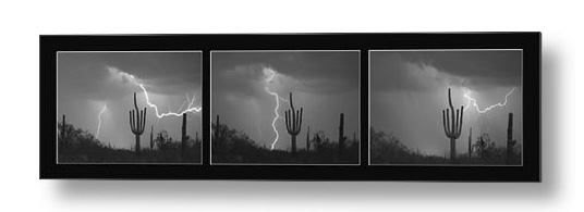Southwest Saguaro Cactus Desert Storm Panorama Bw Metal Art Print