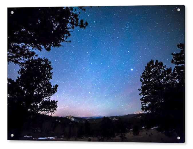 Starry Rocky Mountain Forest Night Acrylic Print
